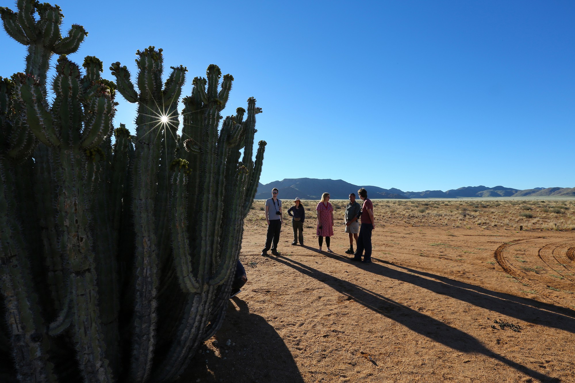 Endlich mal ein anderes Motiv. Hier aber auch mit der Blende und mit der Sonne in Szene gesetzt. Und mit Menschen – die helfen oft, Größenverhältnisse zu vermitteln, in unserem Fall hier zeigt das deutlich, wie groß und gewaltig der Kaktus zu sein scheint.